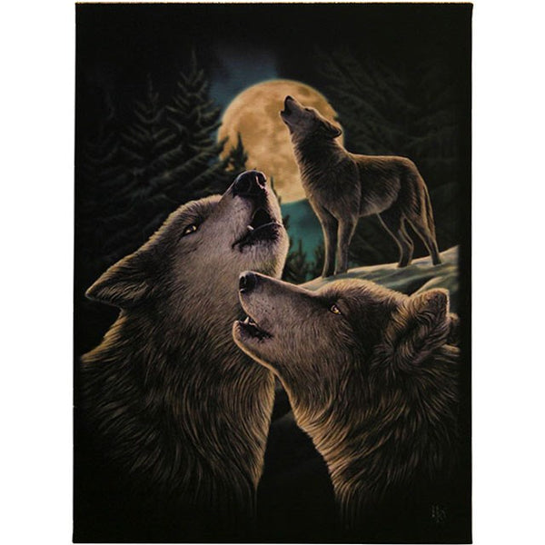 19X25cm 'WOLF SONG' Canvas