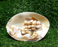 River Shell with Pearl