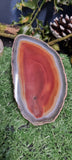 Agate Slices (Large)